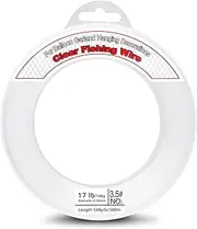 540Yards Clear Fishing Wire 0.3 mm, Invisible Fishing Line Wire Nylon String Supports 17 Pounds for Hanging Balloon Garland, Picture, Jewelry Making Beading Threads Cords