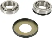 Pivot Works PWSSK-S09-421 Steering Stem Bearing Kit
