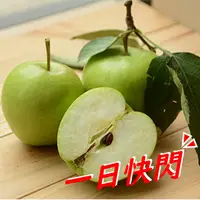 在飛比找台灣好農優惠-▶一日快閃◀梨山阿忠青龍青蘋果(中果) 3斤