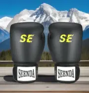 Vive Comb Seenda SE Boxing Gloves - Brand NEW