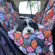 Dog Hammock Back Seat Cover - Daydream Shells - Car 2-in-1 System