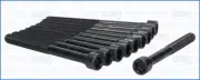 Cylinder Head Bolt Set FIAT PALIO 1.7 176B7.000 (1997-2001)