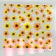 日本製 ~『 3D Rubber Art Dry Flower 』DF-28 / 指甲貼紙 /造型貼紙/手機造型貼紙