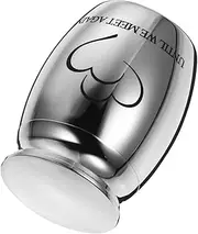 BESPORTBLE Mini Pet Cremation Urn Stainless Steel Ash Storage Box for Beloved Pets Lightweight Portable Cinerary Casket Simple Design Resistant Durable Memorial Container