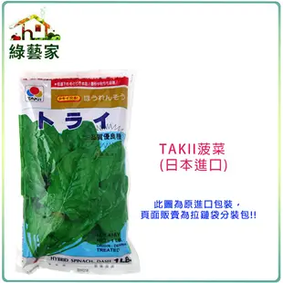 【綠藝家】大包裝A15.TAKII菠菜種子120克(約7200顆) 日本進口