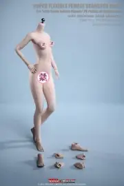 TBleague 1/6 PLSB2021-S44A Small Bust Girl Pale seamless Body Figure Toy No head