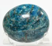 55mm Rich Blue Apatite Palm Stone Pebble Polished Sparkling Mineral - Madagascar