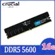 [全新]Micron crucial 美光 DDR5 5600 16G桌機記憶體@台南可面交@16GB