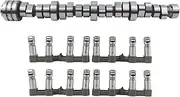 MDS Lifters Camshaft Kit Replacement for 2009-2018 Dodge Ram 1500 5.7L V8 Hemi 53022263AE, 53022263AF, 5038785AD, 53021726AD, 53021726AE