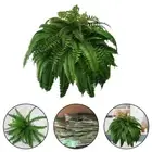 Vibrant green fern grass decoration for natural For home and garden settings