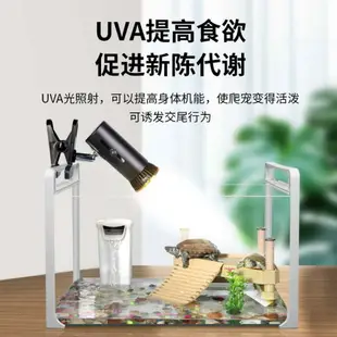 烏龜曬背燈 烏龜曬背燈uvb龜燈全光譜太陽uva補鈣三合一燈泡燈管爬寵蜥蜴燈罩 快速出貨