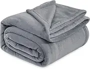 Bedsure Fleece Bed Blankets Queen Size Grey - Soft Lightweight Plush Fuzzy Cozy Luxury Blanket Microfiber, 90x90 inches