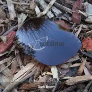 POLARIZED Dark Brown Replacement Lenses for Ray Ban RB4165 Justin 54mm ~ Bronze