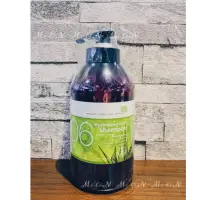 在飛比找蝦皮購物優惠-【Mi li.N】藝思晨  蘆薈頭皮修護洗髮精 750ml