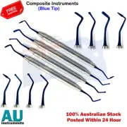 Composite Amalgam Plastic Filling Blue Pointed Dental Restorative Lab Instrument