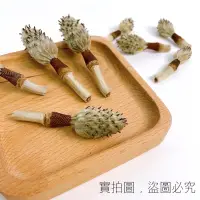 在飛比找蝦皮購物優惠-洋玉蘭，也叫木蓮花，乾燥花