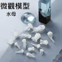 在飛比找樂天市場購物網優惠-【微觀模型-水母】3D立體 水母 模型 滴膠素材 水晶膠填充