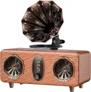 Vintage Retro Radio Bluetooth Speaker, AM/FM/SW Small Radio 5W Large Speaker and