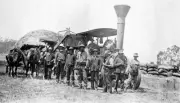 Wyllie 's thresher team Whitfield Victoria ca 1920 OLD PHOTO