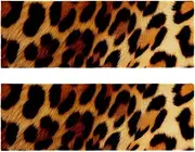 Gym Towels,Hand Towels,Workout Towels for Gym Bag,Animal Leopard Texture,2-Pc