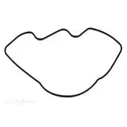 Protorque Oil Pumper cover/O Ring - LB567