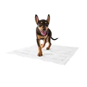 20 Pack Scented Puppy Pads