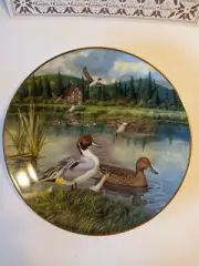 "THE PINTAIL" PLATE BY BART JERNER. NEW IN BOX WITH COA. BEAUTIFUL!. COLLECTORS