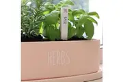 Splosh Herb Label Home Grown Basil, Ceramic Plant Label Garden Tag HMG014