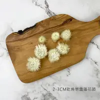 在飛比找松果購物優惠-2-3CM 進口乾燥旱雪蓮花頭-乾燥花圈 乾燥花束 浮游花 