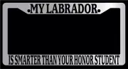 Chrome METAL License Plate MY LABRADOR IS SMARTER THAN YOUR HONOR STUDENT 450