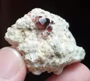 Very Nice Luster Quality Garnet with Feldspar Matrix Specimen Afghan 154 Carats