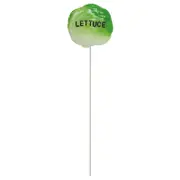Decorative Vegetable Stake - Lettuce