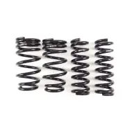 RS-R T999D for 14+ Lexus RC-F / 2016 GS-F Down Lowering Springs (for: Lexus)