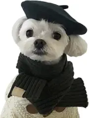 Muyaopet Dog Cat Beret Wool Hat Headband French Artist Beanie Beret Pet Dog C...
