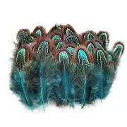 100 pcs Natural Pheasant Plumage Feathers 2-3 Inches Plumage Feathers for Sew...