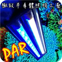 在飛比找PChome商店街優惠-【高CP版】『VITALUX小鯊魚２號』2呎(2尺)LED水