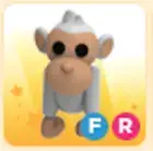 ADOPT from ME - FR Albino Monkey- Fly Ride - The Trusted Store!!