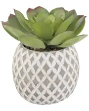 Flora Bunda Faux Succulent in 5in Cement Pineapple Planter