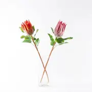 Artificial Protea Flower - Pink and Orange