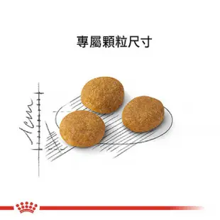 E33 法國皇家挑嘴貓濃郁香味 2kg/4kg