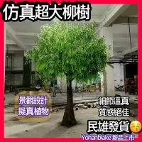 在飛比找蝦皮購物優惠-超大型植物😇仿真柳樹😇柳樹 四季常青樹 飯店植物 旅館餐廳假