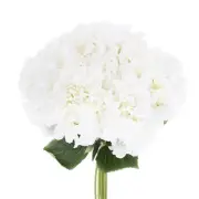 Artificial Flowers 10 Bundles, White Fake Hydrangea Plants for Wedding Outdoor