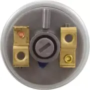 Pressure Switch, Balboa 36142, 2 PSI, 1A, 1/8"mpt, Generic