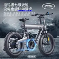 在飛比找蝦皮購物優惠-【翔哥正品團購】全新 FTN T20  20寸胎 電動自行車