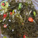 「小小海鮮」涼拌野生海菜-拆封即食-鮮翠唰嘴 海大麵 涼拌菜 夏天 野生海菜