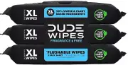 DUDE Wipes Flushable Wet Wipes Dispenser (3 Packs 48 Wipes)