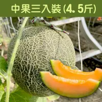 在飛比找台灣好農優惠-GoGoFarmer有機卡蜜拉網紋哈密瓜-中果3入(4.5台