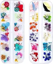 iFancer 108 Pcs Dried Flowers Nail Art 62 Colors 3D Dry Flowers for Nails 2 Boxes Small Tiny Dried Flowers for Nail Art Little Pressed Real Natural Flower Nail Art Design Decoration Supplies