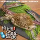 海肉管家-活凍特大隻藍花蟹2隻(400-450g/隻)