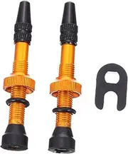 iplusmile 1 Pair Bike Tubeless Valves Stem Nozzle of Durable Tire Caps for Bicycles Core Design to Prevent Air Leaks Essential Bike Accessory with Tool